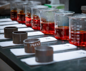 A row of beakers with slips of papers in front of each beaker with testing results