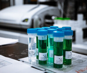 Several labeled testing vials on a table with test results nearby